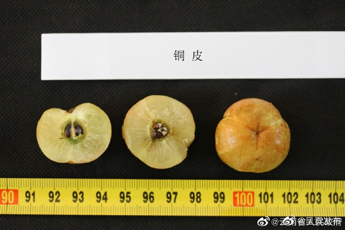呈贡发布