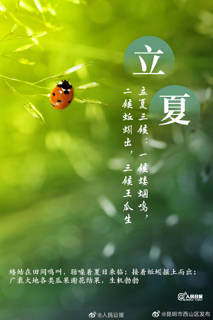 昆明市西山区发布