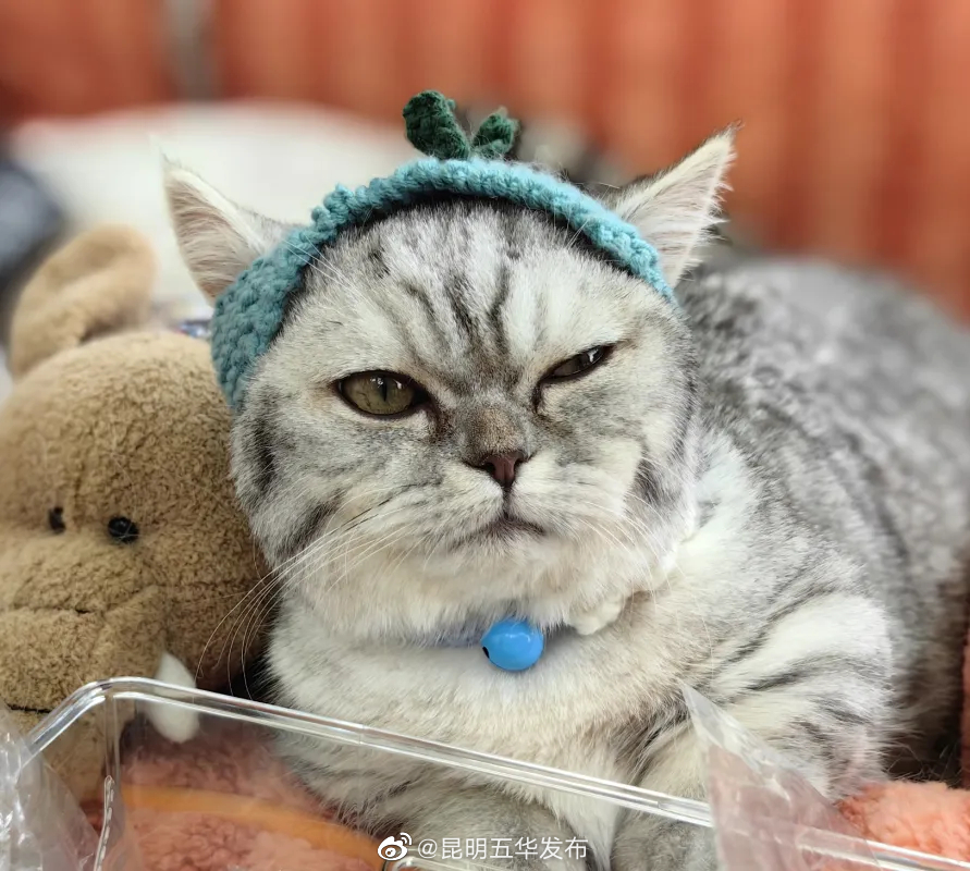 昆明五华发布