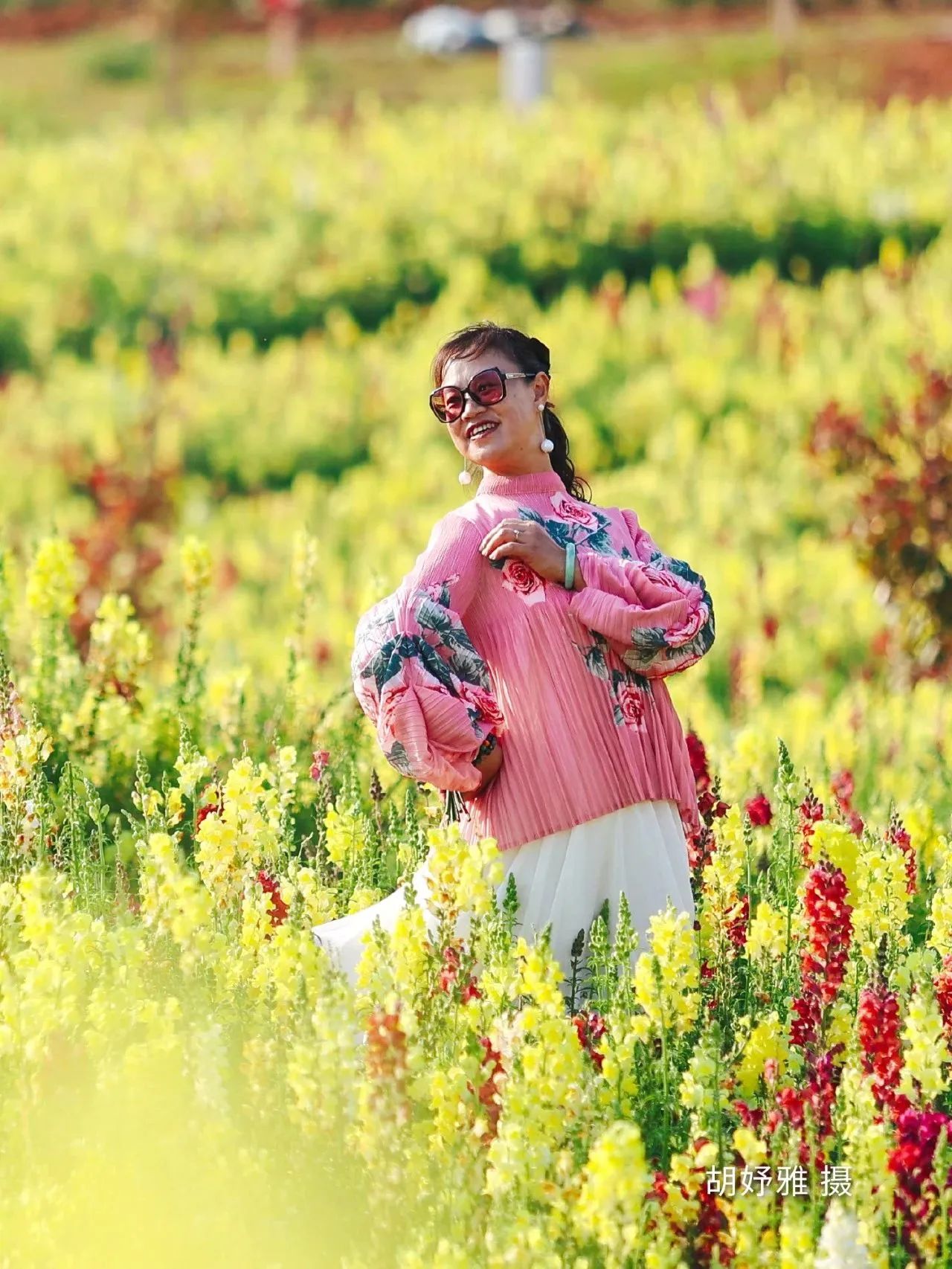 云南省文化和旅游厅