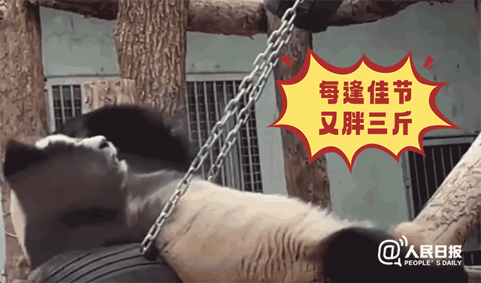 昆明市西山区发布