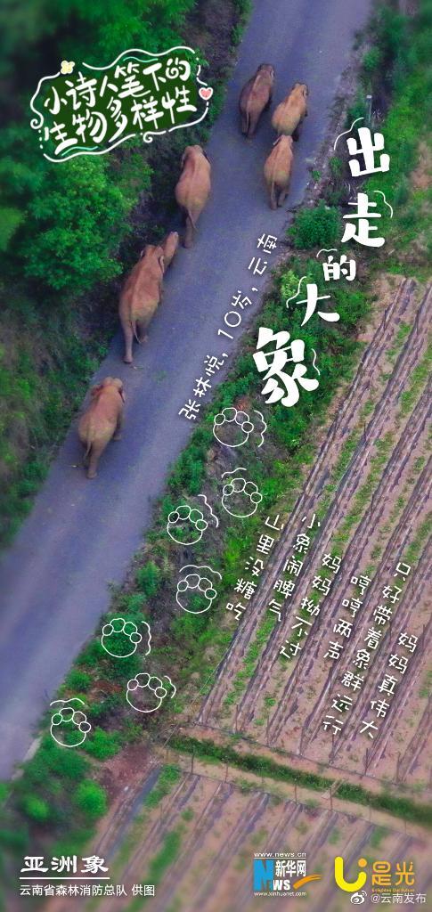 云南发布