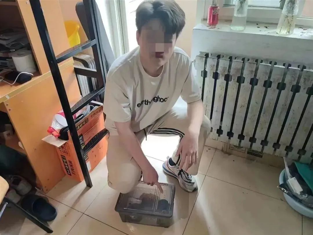 掌上春城微信