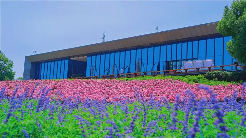 红河文旅