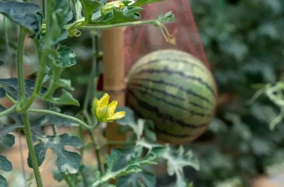 晋宁诗意的栖居地