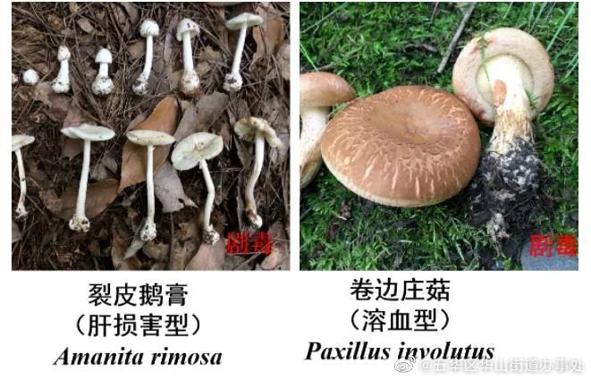 五华区华山街道办事处