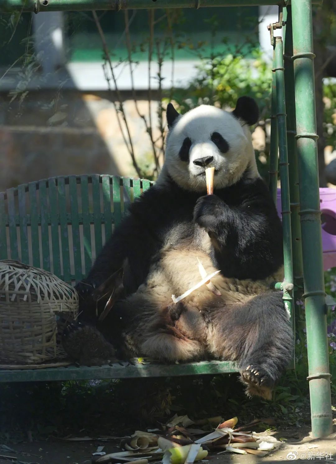 昆明信息港/cnkmxxg