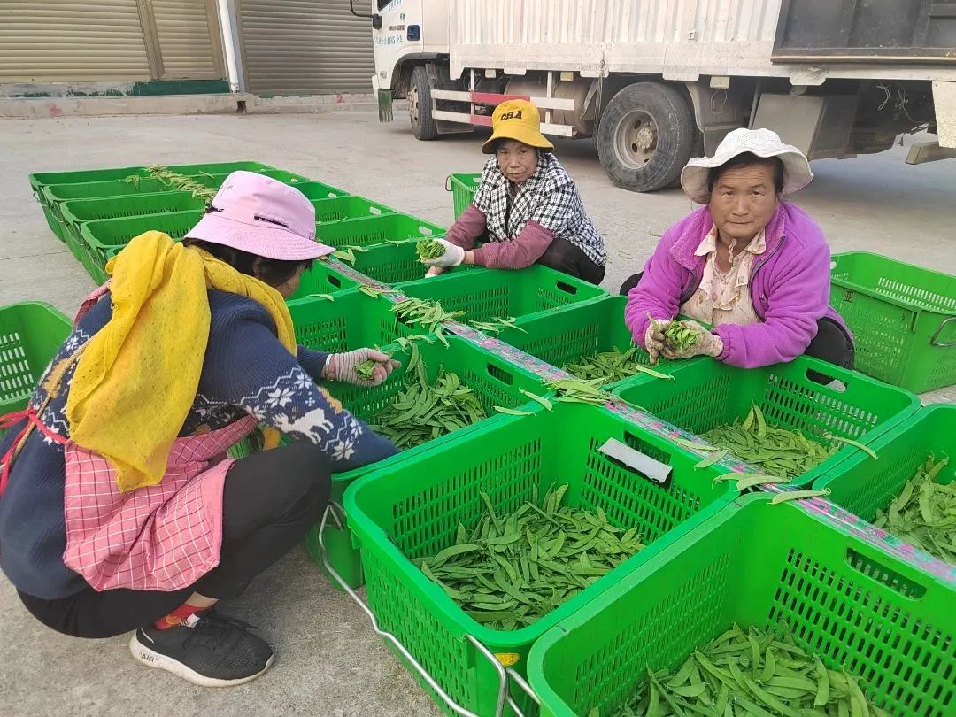 晋宁诗意的栖居地