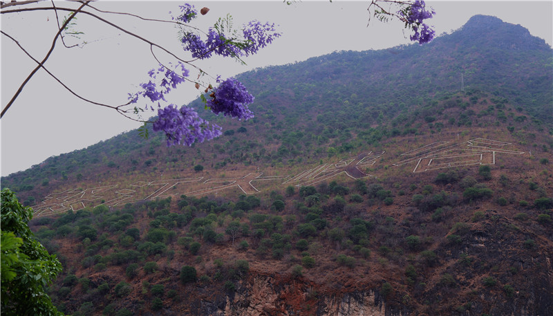 云南省文化和旅游厅