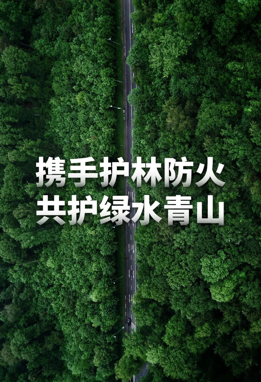 丽江日报