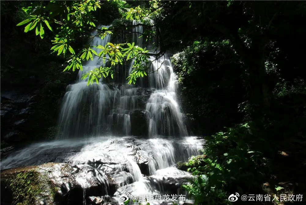 来红河，享受“生态氧吧”