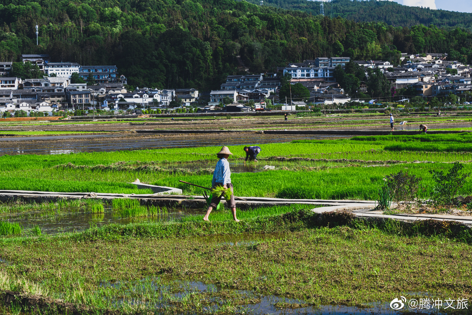 腾冲文旅