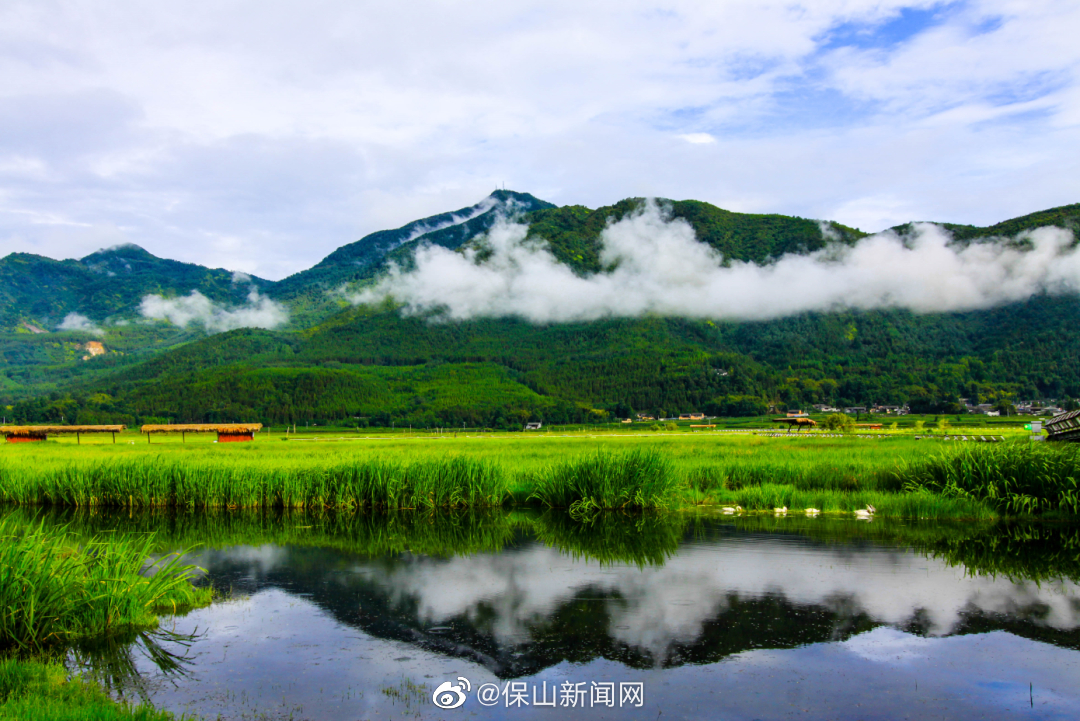 保山新闻网