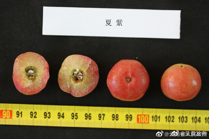 呈贡发布