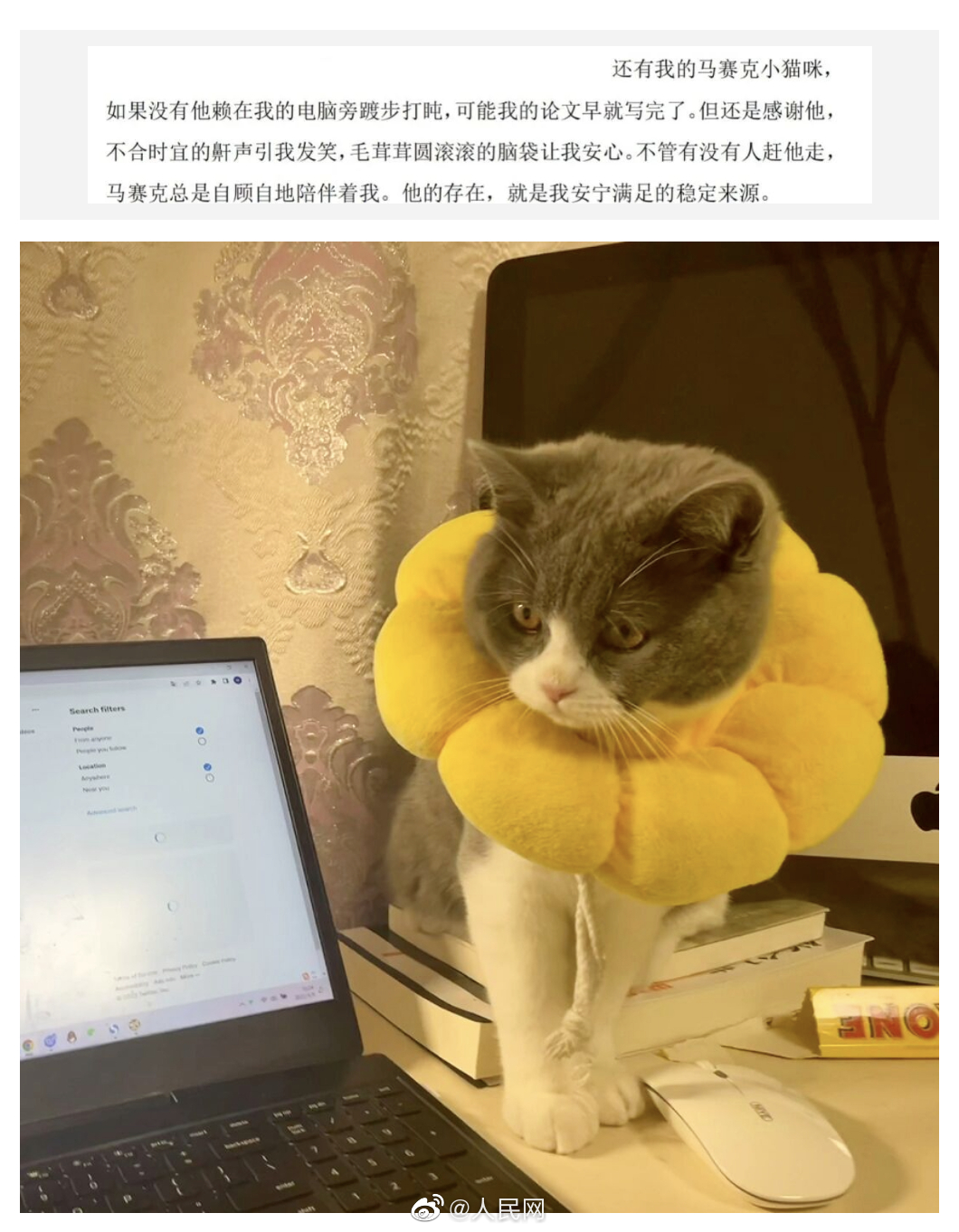 人民网