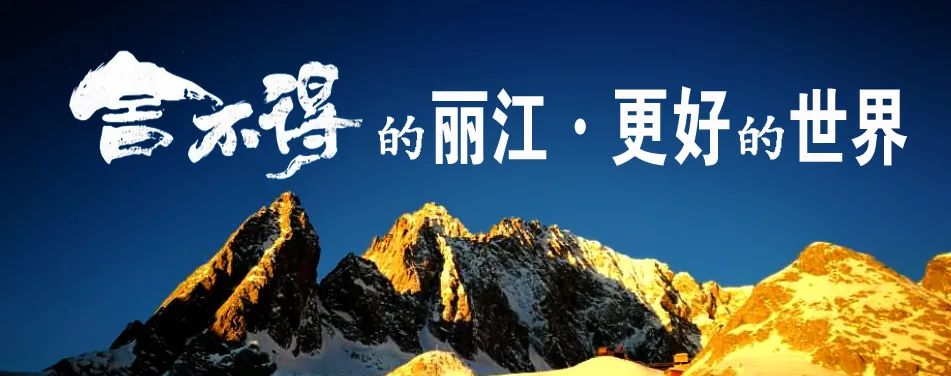 丽江日报
