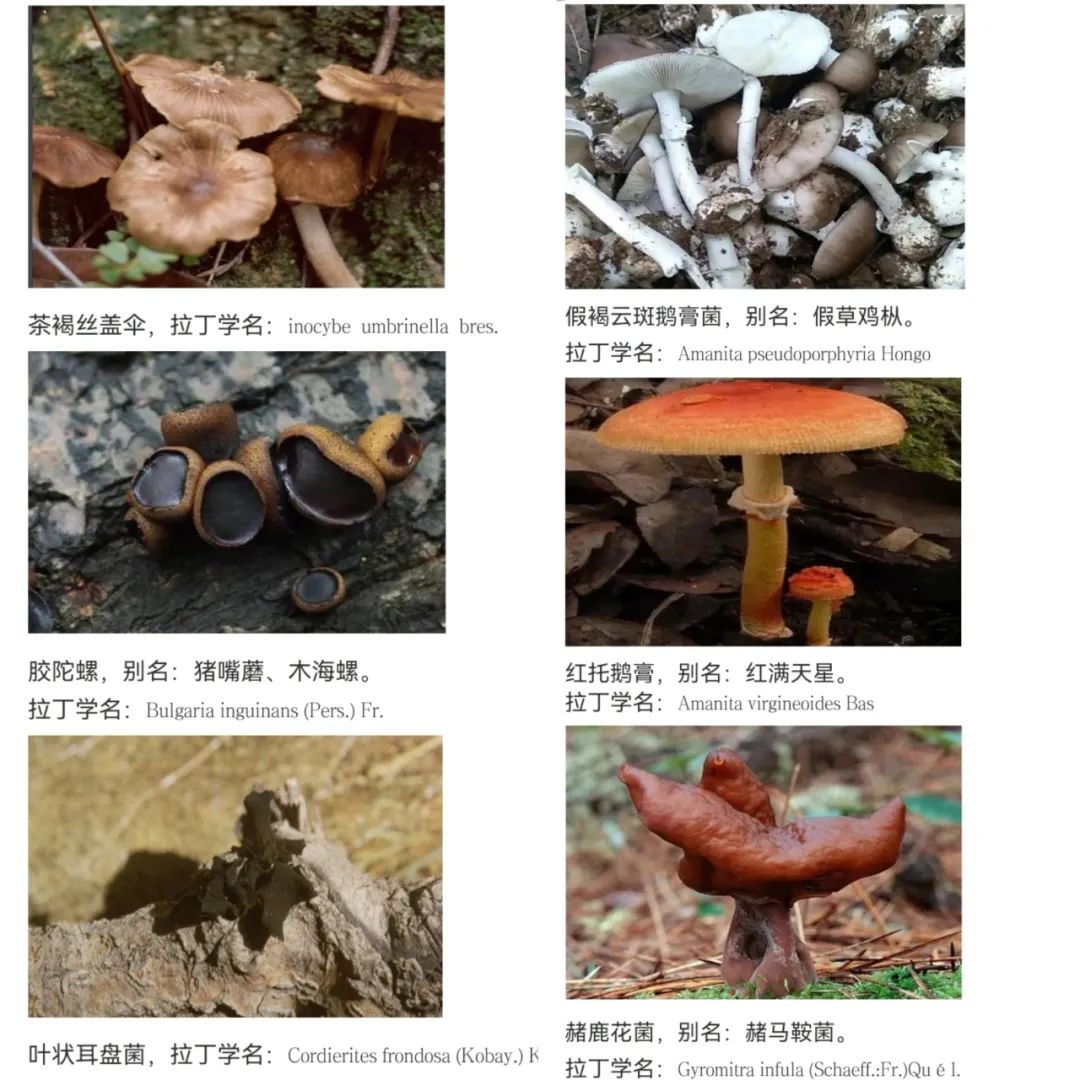 云南省文山州人民医院