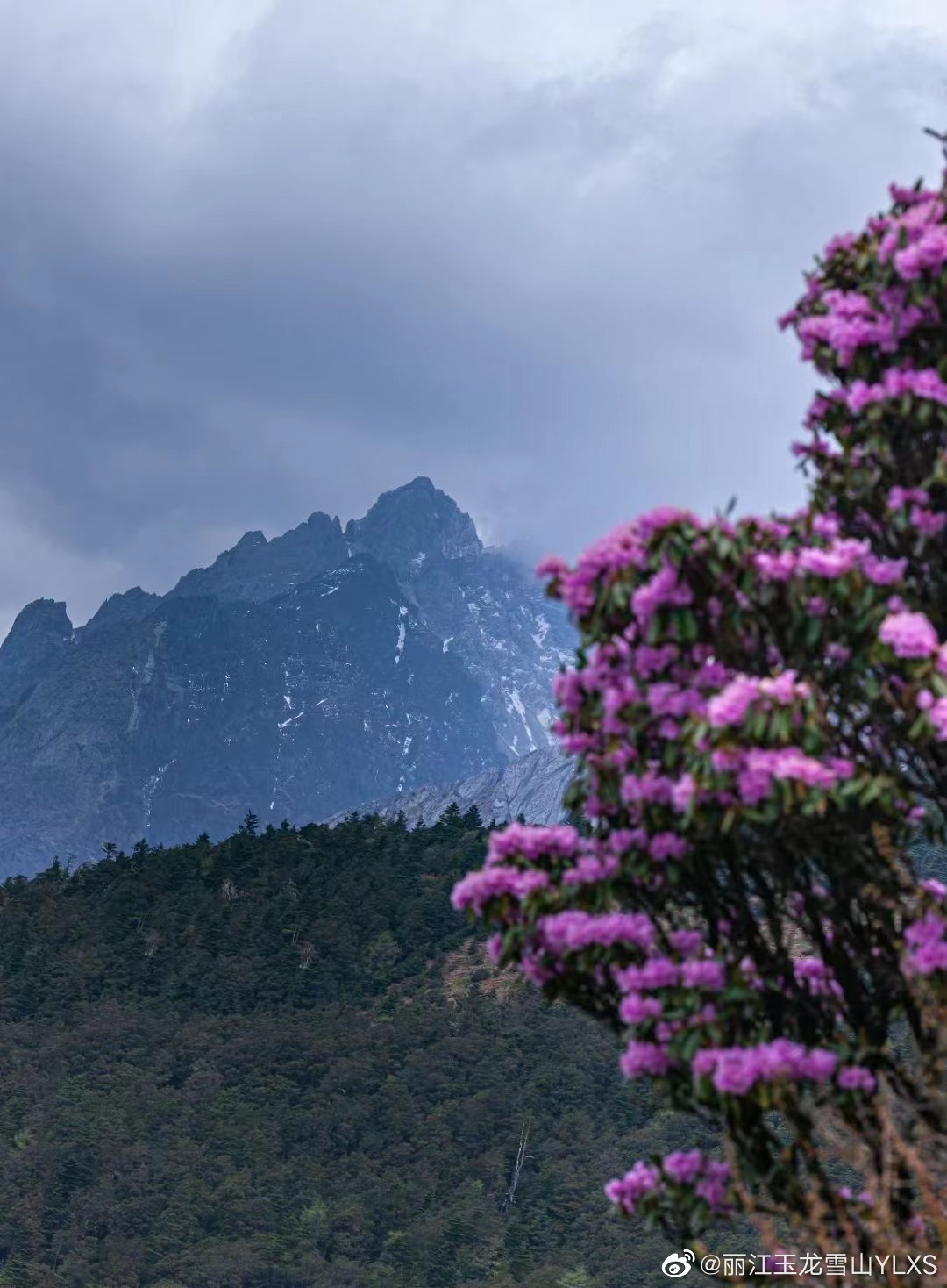 丽江玉龙雪山YLXS
