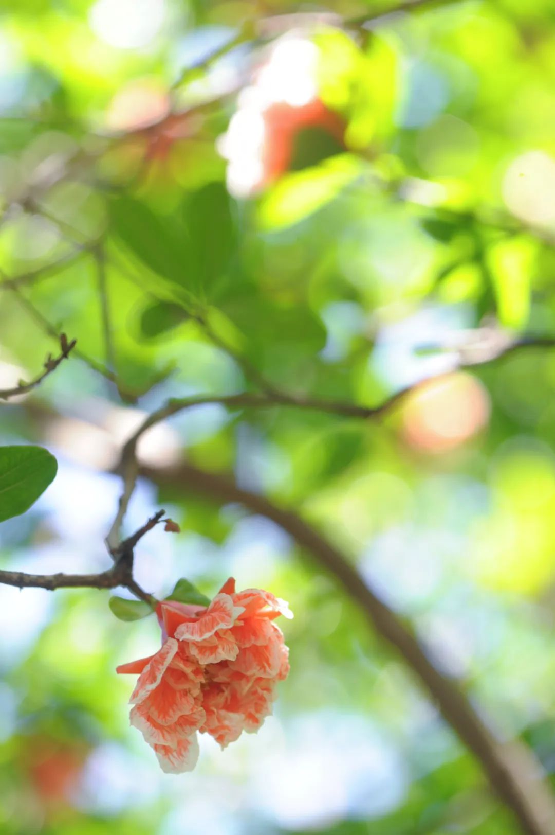 昆明市金殿名胜区
