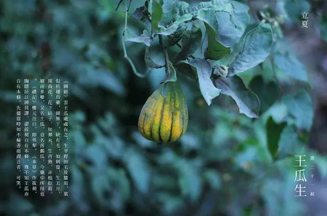 昆明公共文化云