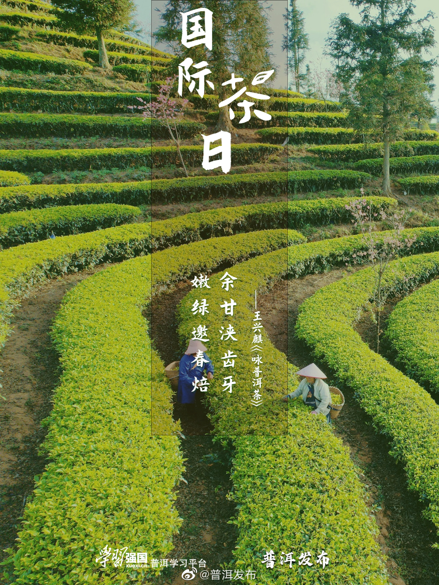 普洱发布