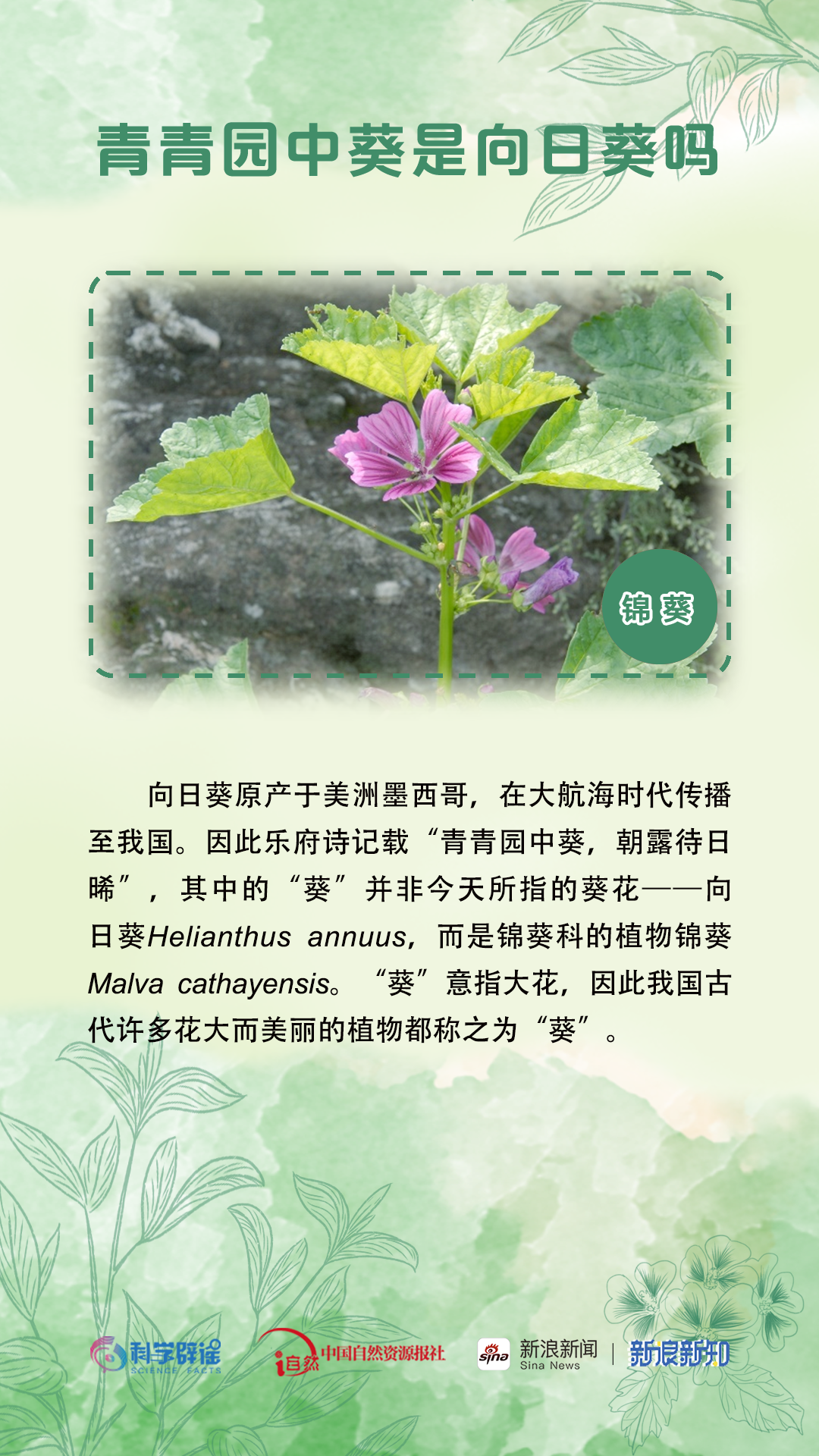 美丽云南微科普