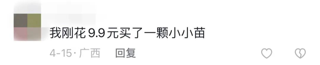 掌上春城