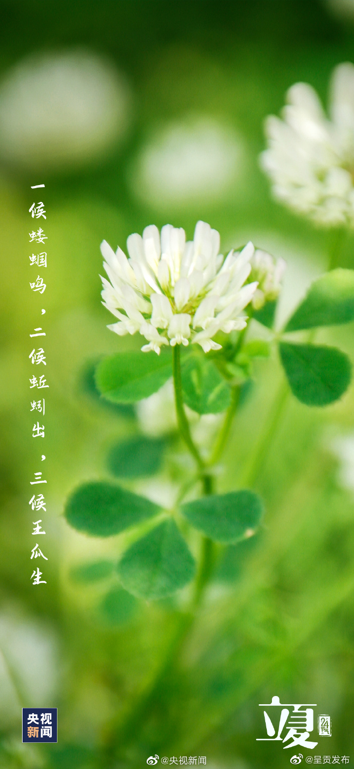 呈贡发布