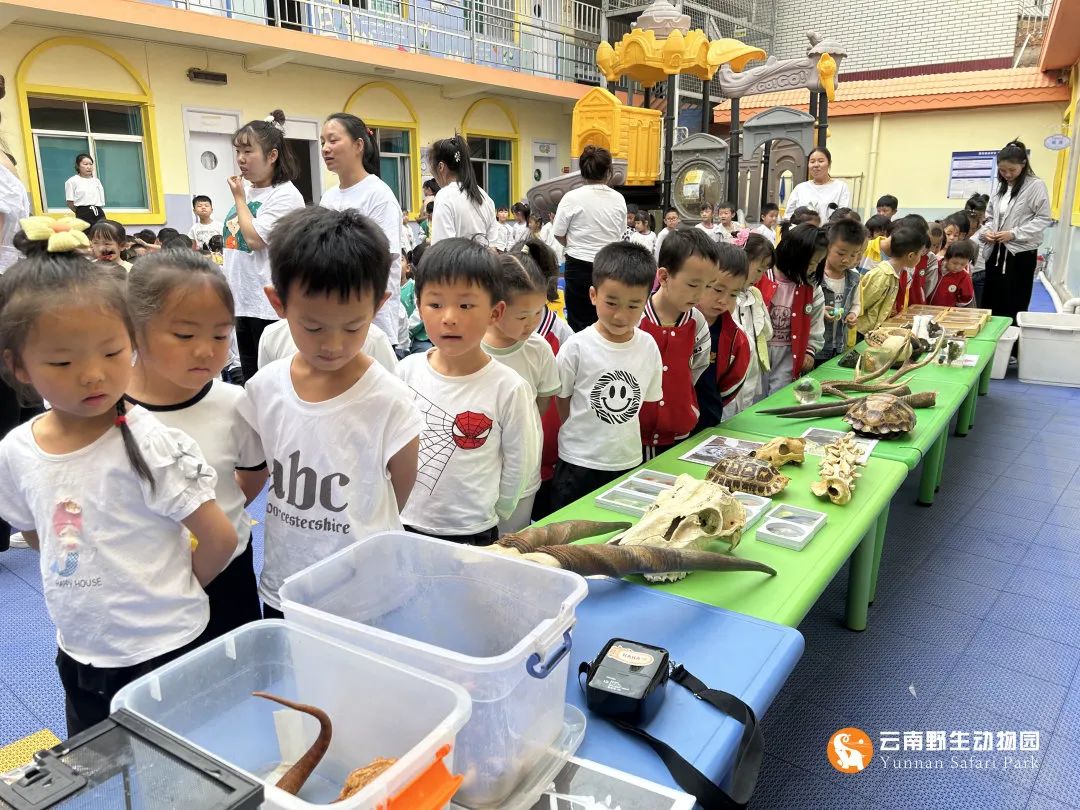 云南野生动物园