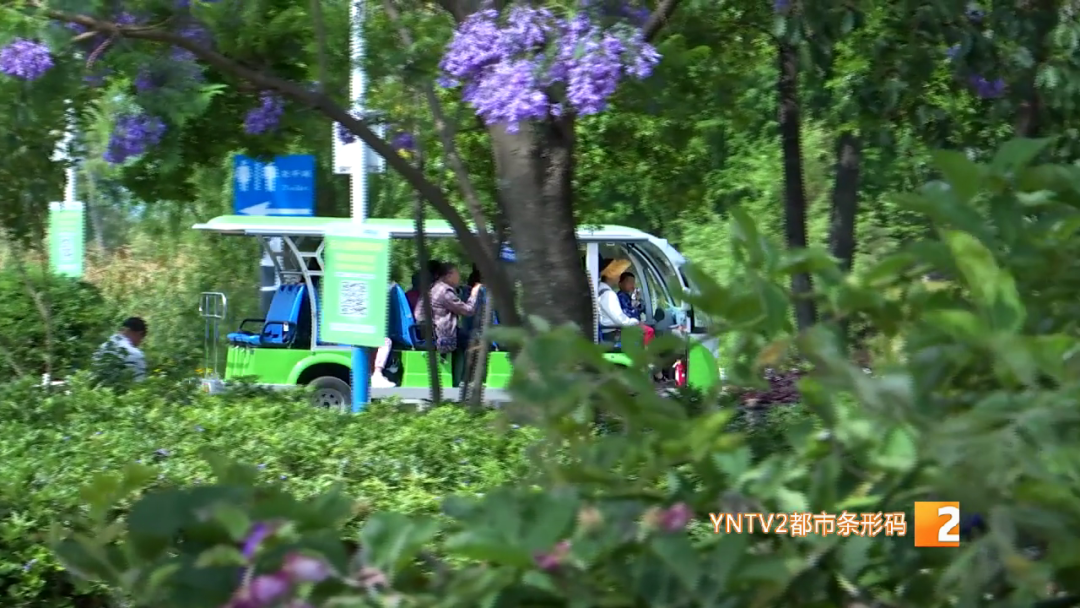 昆明信息港/cnkmxxg