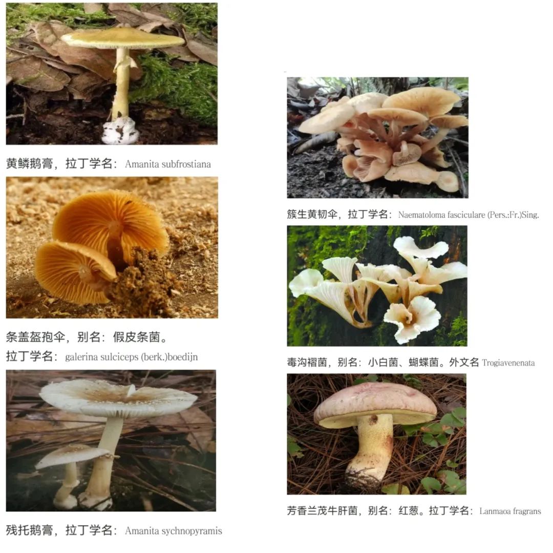 云南省文山州人民医院