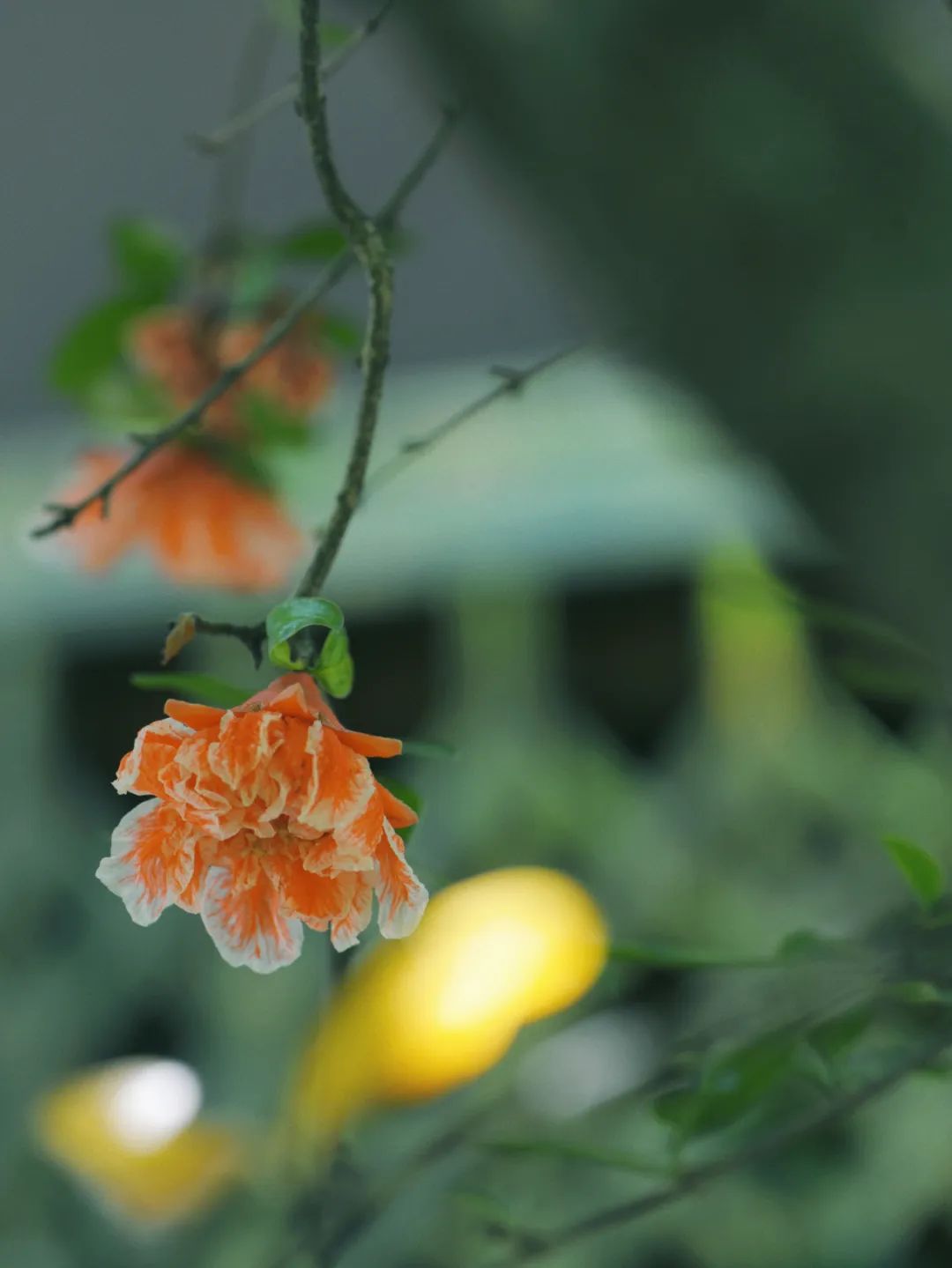 昆明市金殿名胜区