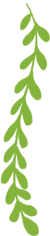 云南政法