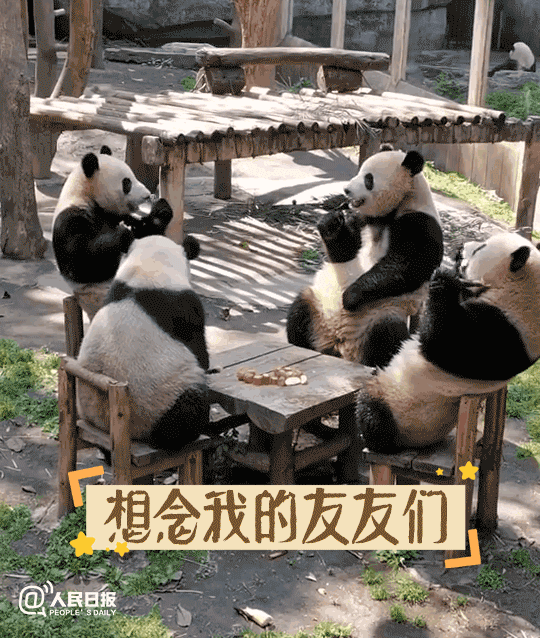 昆明市西山区发布