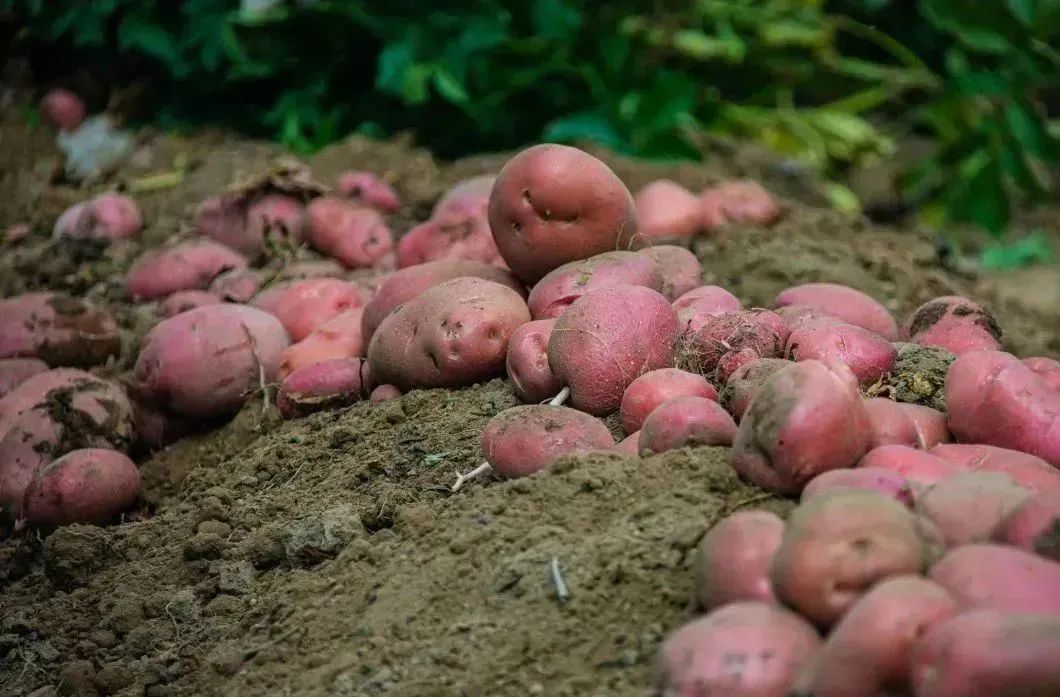 晋宁诗意的栖居地