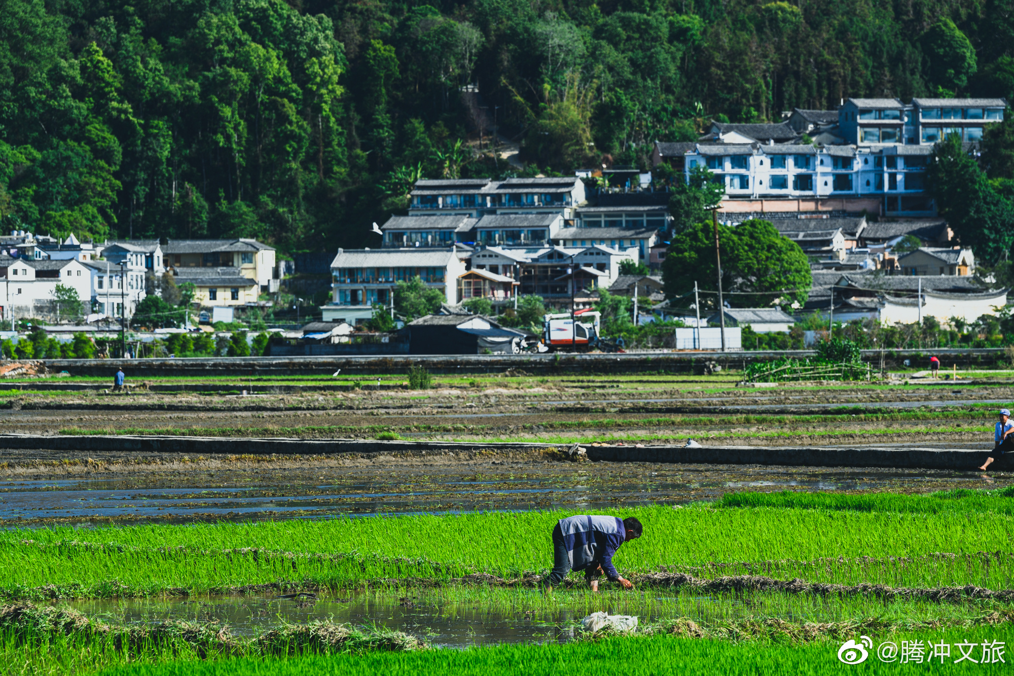 腾冲文旅