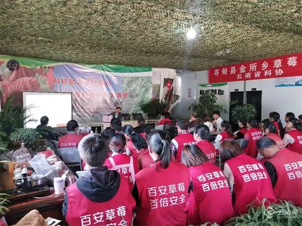 美丽云南微科普
