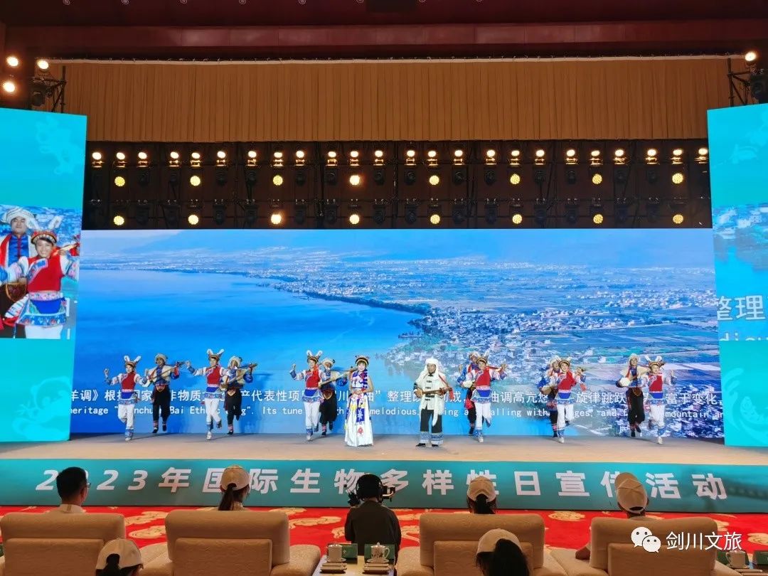 大理日报