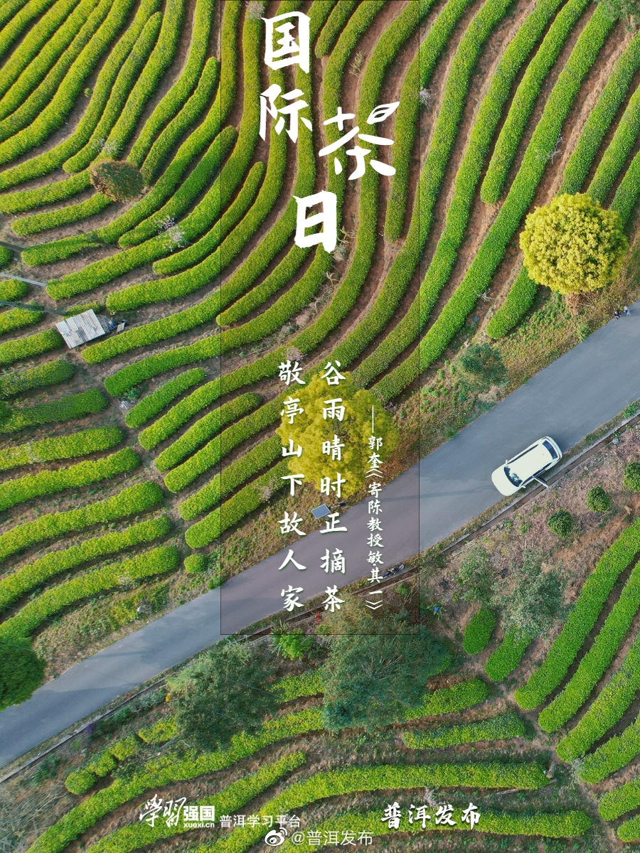 普洱发布