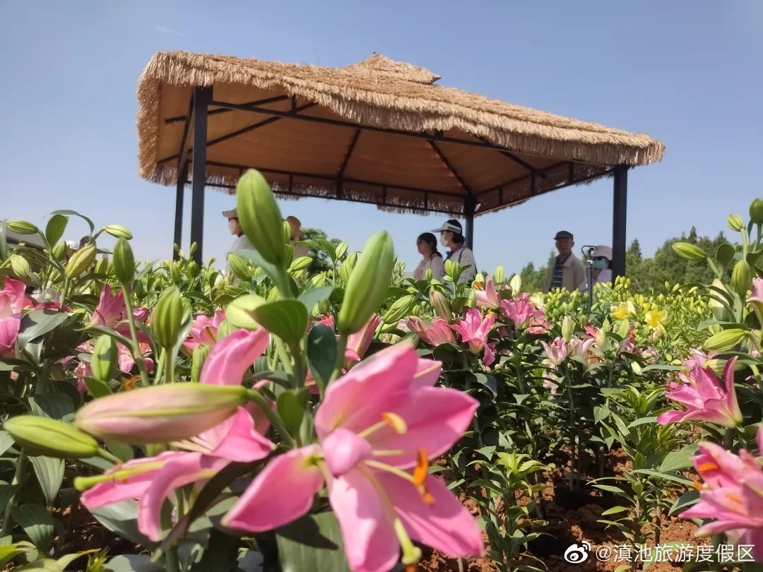 滇池旅游度假区