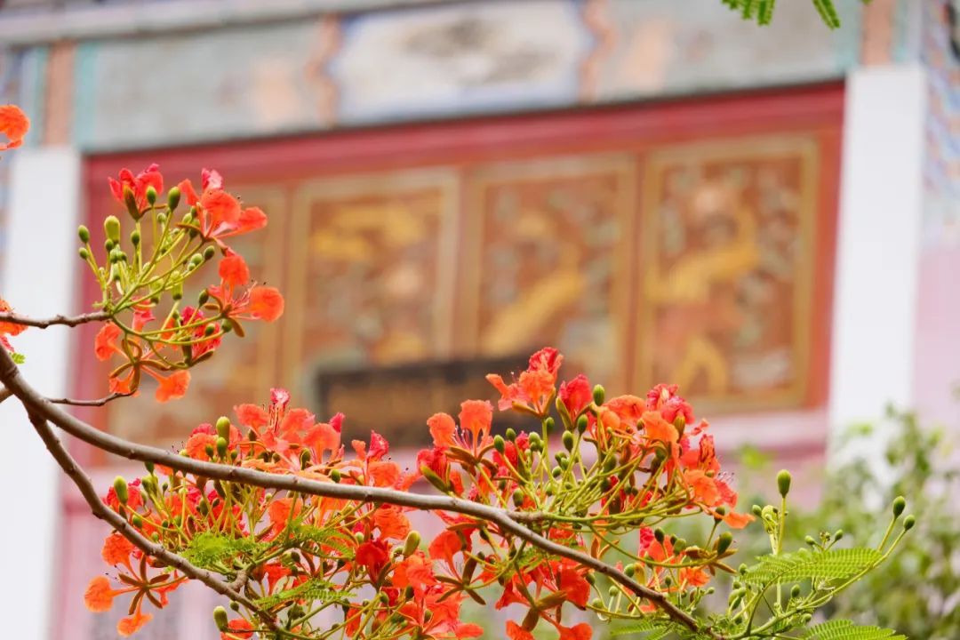 红河文旅