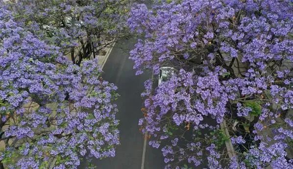 昆明文旅