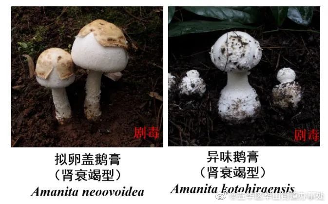 五华区华山街道办事处