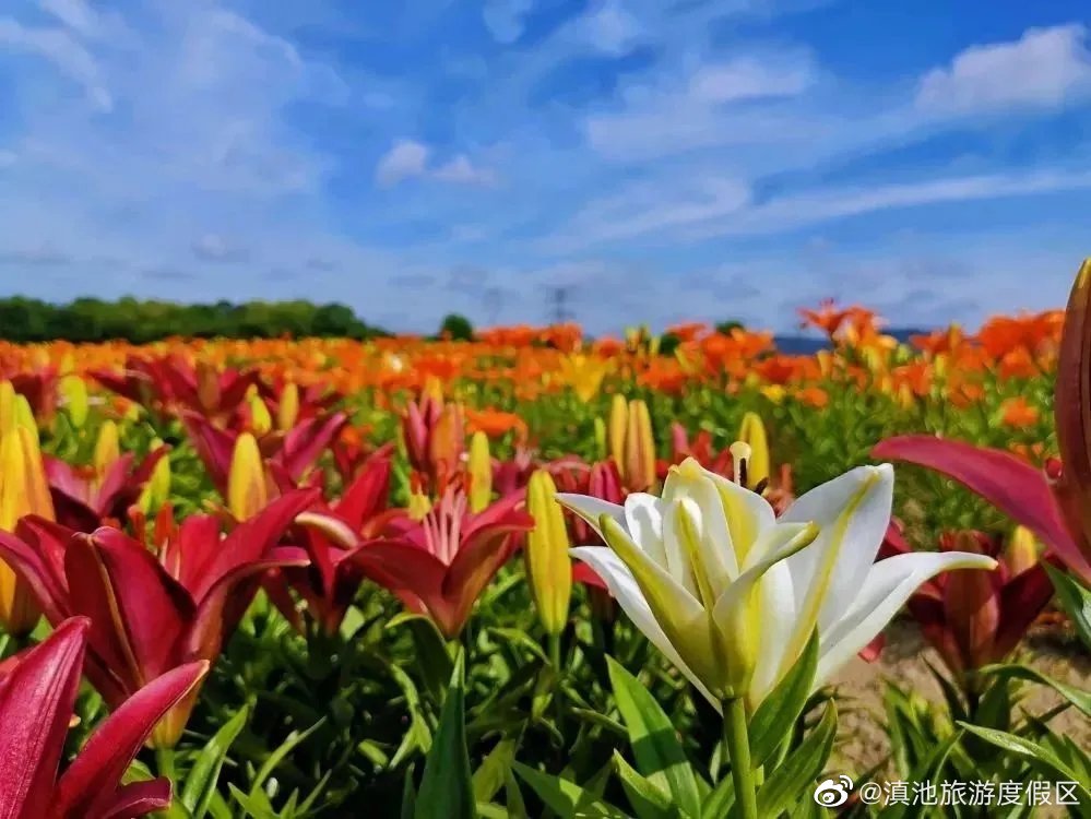 滇池旅游度假区