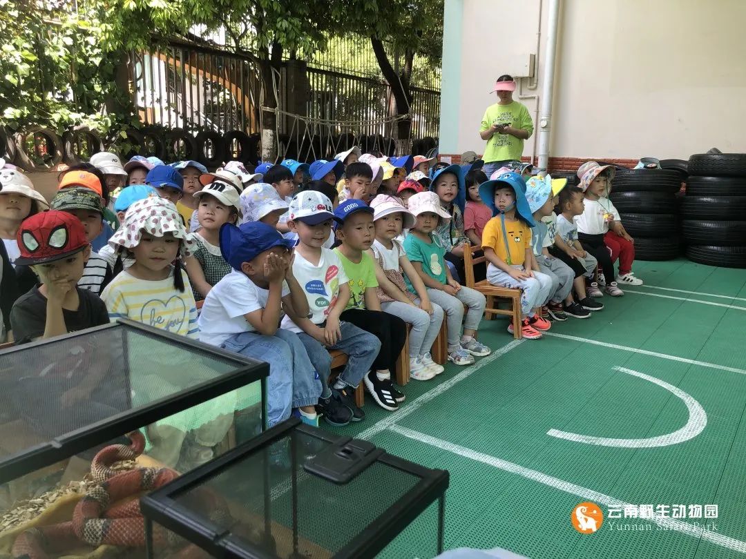 云南野生动物园