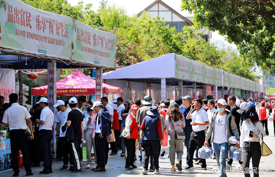  富民县2023年中国富民杨梅旅游文化节暨“品出富民”促消费活动 启幕