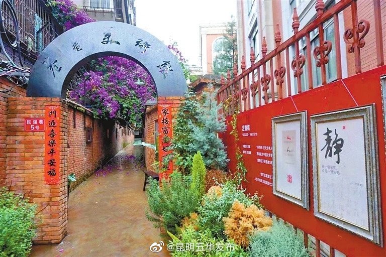 文林社区党委深化商居融合，打造有温度的社区——留住烟火气 提升文化味