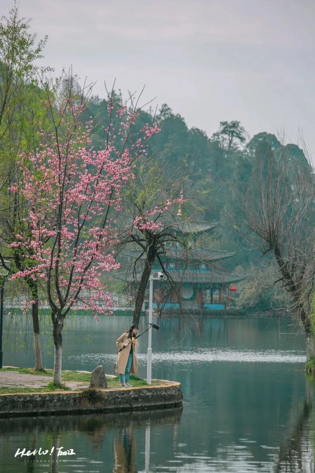 微丽江