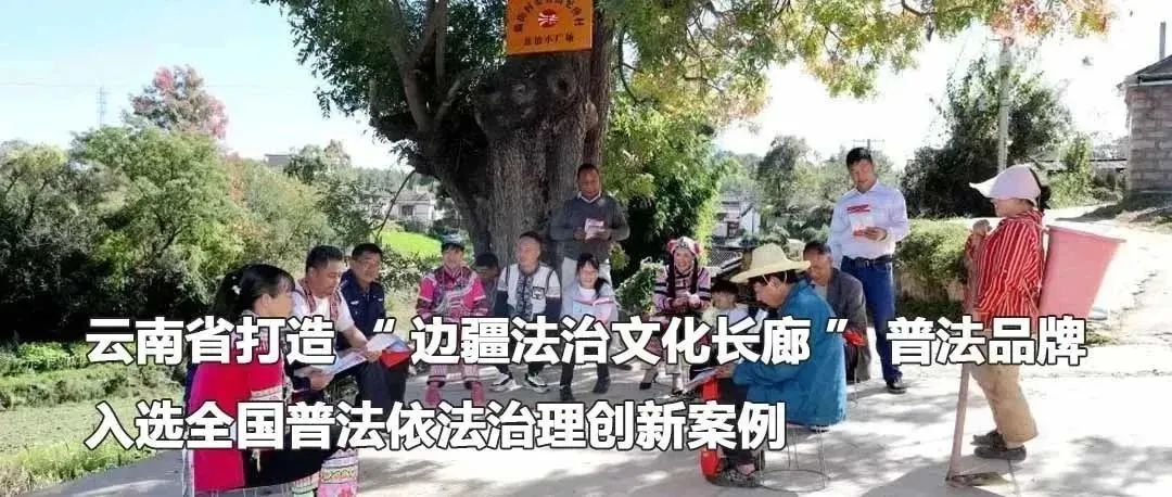 云南政法