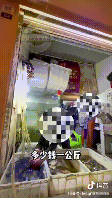 昆明信息港/cnkmxxg